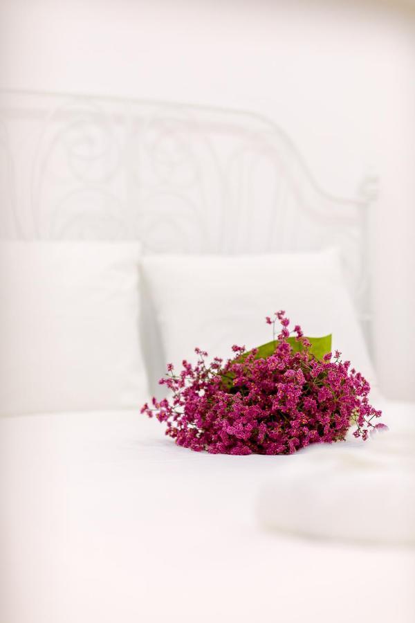 Casa Dos Doutores, A Cozy Apartment In Lisboa Ngoại thất bức ảnh